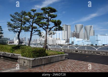 Vue sur les gratte-ciel de Tokyo depuis la rive autour du quartier d'Hamamatsucho, ciel bleu et temps ensoleillé. Hauts bâtiments visibles en arrière-plan Banque D'Images