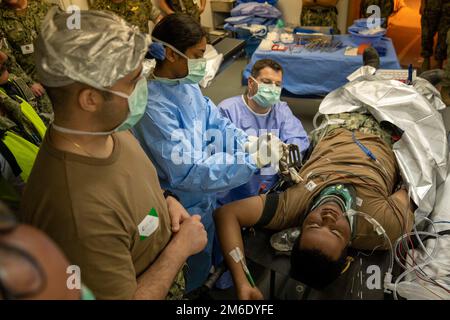 CAMP PENDLETON, Californie (25 avril 2022) - le personnel médical, affecté à l’établissement médical expéditionnaire (EMF) Juliet, effectue une simulation de chirurgie sur un patient au cours de l’évaluation de l’état de préparation opérationnelle (ORE) de l’EMF Juliet. Le MINERAI a été mené à l'Institut de formation médicale expéditionnaire naval et évalue la capacité de traitement des patients, évalue la coordination entre les domaines fonctionnels et le travail d'équipe. Cette formation appuie le programme de préparation à plusieurs niveaux du chirurgien général et met en évidence la capacité de la médecine navale à générer et à maintenir des forces médicales prêtes à l’emploi. Banque D'Images