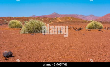 Vue panoramique de la zone de concession de Palmwag en Namibie. Banque D'Images