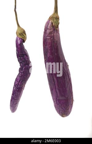 Aubergine pourrie Banque D'Images