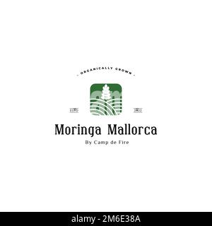 Logo en forme de feuille de Moringa inspiré. Logo de la plantation Moringa. Illustration de Vecteur
