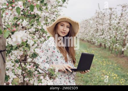 Fille dans un chapeau de paille et robe dans le jardin. Femme avec un ordinateur portable et un arbre à fleurs dans le jardin. Agriculture Banque D'Images