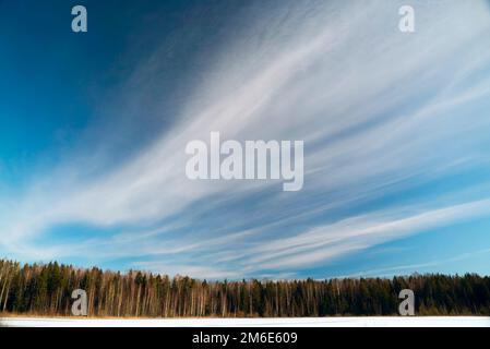 Longs nuages de plumes dans le ciel bleu . Banque D'Images