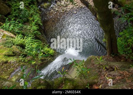 Promenez-vous et découvrez la cascade de prego salto sur l'île de sao miguel, aux açores Banque D'Images