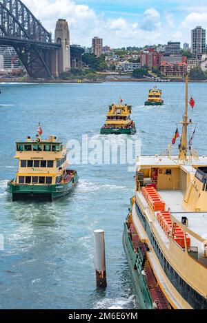 Sydney Ferry Scarborough s'inverse de Circular Quay et forme une ligne avec deux autres ferries de première classe Fleet, Fishburn et Charlotte Banque D'Images