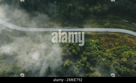 Route à travers la forêt tropicale verte. Vue aérienne de dessus de la forêt sur brouillard brumeux matin. Concept et contexte de l'écosystème et de l'environnement sain. Banque D'Images