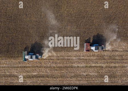 Récolte de graines de tournesol, vue aérienne Banque D'Images