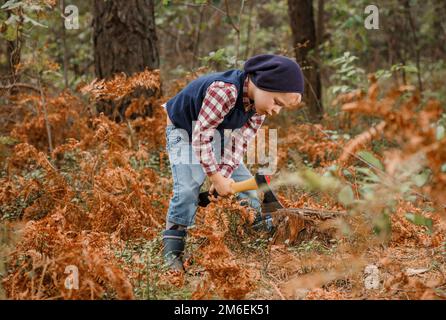 Petit garçon dans la forêt d'automne. Un garçon avec une hache près d'un arbre. Hache de retenue de fraise à bois. Debout dans la forêt avec hache. Banque D'Images