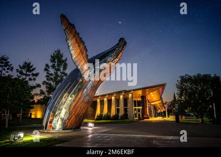 Sculpture de Nala la baleine à bosse a été illuminée le soir à l'extérieur de la galerie régionale de la côte du Fraser. Hervey Bay Queensland Australie Banque D'Images