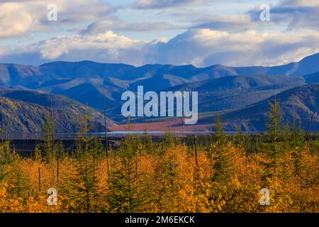 La nature de la région de Magadan. Collines basses et lumineuses dans la toundra, couvertes d'herbe et d'arbres colorés. Toundra russe Banque D'Images