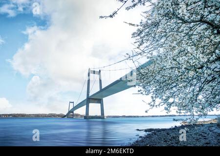 Magnifique pont au-dessus des eaux calmes au printemps avec un arbre fleuri avec des fleurs blanches Banque D'Images