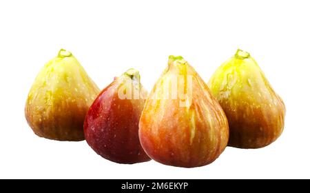 Schéma commun sur fond blanc. Ficus carica est une espèce asiatique de plantes à fleurs de la famille des mûriers, connue sous le nom de commune Banque D'Images