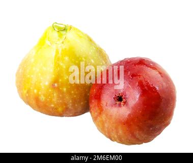 Schéma commun sur fond blanc. Ficus carica est une espèce asiatique de plantes à fleurs de la famille des mûriers, connue sous le nom de commune Banque D'Images