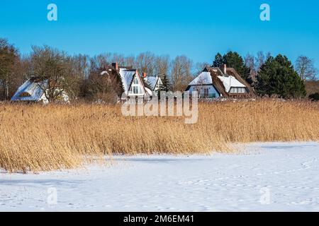 Bodden avec des maisons dans Born on Fischland-Darß en hiver. Banque D'Images