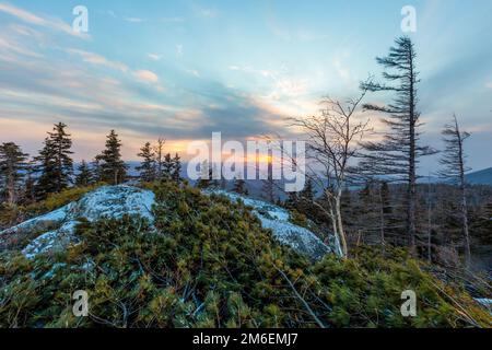 La nature immaculée de la réserve de Zeya. Coucher de soleil sur la crête de Tukuringra. Magnifique coucher de soleil d'hiver sur le sommet de la montagne. Banque D'Images