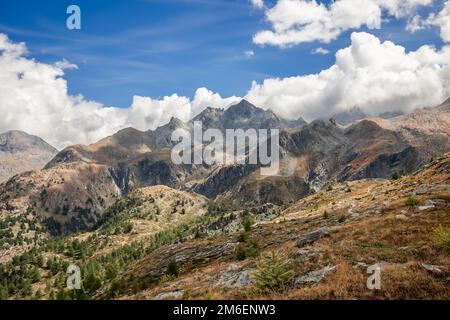 Motley automne pentes de granit jaune avec des arbres nains rares, à l'horizon de nombreux sommets de montagne encadrés par des cumulus blancs sous ciel bleu. VAoste Banque D'Images