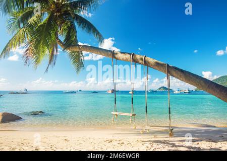 Belle plage tropicale avec palmiers à noix de coco et deux balançoires Banque D'Images