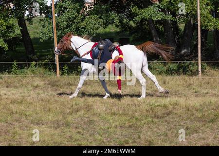 Activité sur le thème de Harry Potter le long de la piste de train d'Abreschviller une partie de Quidditch entre Gryffindor et Slytherin a joué à cheval Banque D'Images