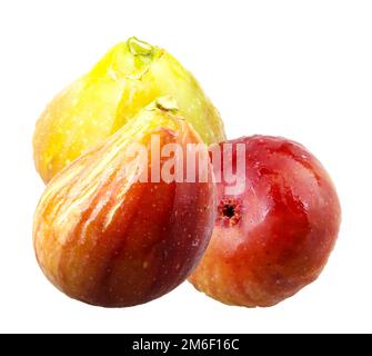 Schéma commun sur fond blanc. Ficus carica est une espèce asiatique de plantes à fleurs de la famille des mûriers, connue sous le nom de commune Banque D'Images