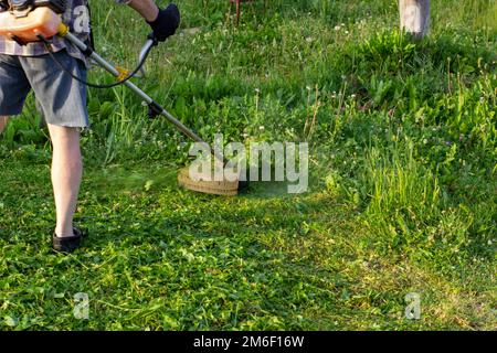 Un homme tond l'herbe verte avec un coupe-herbe Banque D'Images