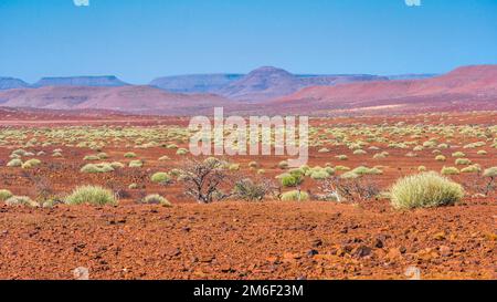 Vue panoramique de la zone de concession de Palmwag en Namibie. Banque D'Images