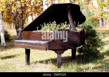 Le lit de fleurs équipé d'un vieux piano noir dans le parc de la ville. Pétunia fleurit dans un lit créatif inhabituel Banque D'Images
