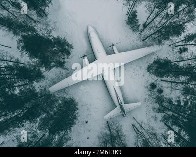 Avion abandonné dans les bois parmi les arbres en hiver. Banque D'Images