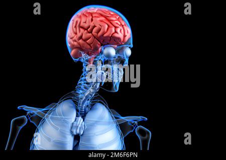 Cerveau humain malade. Anatomie concavité. 3D illustration Banque D'Images