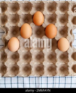 Quelques oeufs bruns parmi les cellules vides d'un grand sac en carton Banque D'Images