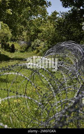 Valia Vanishvili (90), qui vit sur le territoire occupé de la Géorgie, comme clôtures barbelées sont situées sur le territoire de sa cour. Les Russes ont accordé 72 heures à Valia et à sa famille en 2008 pour quitter leur maison, dans un autre cas ils resteraient dans la zone occupée, et étant isolés du reste du village. Comme Valia est devenu un symbole de l'unité et de l'occupation russe en Géorgie. À Khurvaleti, Géorgie sur 28 mai 2022. 14 ans se sont écoulés depuis la deuxième invasion de la région de l'Ossétie du Sud en Géorgie. La deuxième fois que les forces militaires russes ont réussi à s'emparer du territoire, elle a commencé Banque D'Images