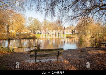 Londres- décembre 2022: Ham zone commune de Richmond dans le sud-ouest de Londres Banque D'Images