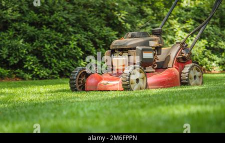 Tondeuse à gazon en herbe verte. Marchez derrière la tondeuse à gaz dans la cour résidentielle. Banque D'Images