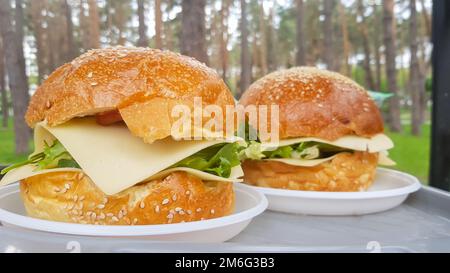 Gros plan de deux grands hamburgers de bricolage dans le parc sur un barbecue, repos et cuisine sur un pique-nique en été, la nourriture, délicieux, bri Banque D'Images