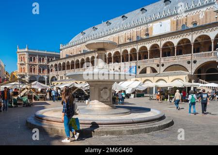 Centre-ville de Padoue, vue en été sur la Piazza delle Erbe et le Palazzo della Ragione datant du 13th siècle, ou Salone, Padoue (Padoue), Vénétie, Italie Banque D'Images