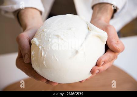 La mozzarella est un fromage italien du sud, traditionnellement fait à partir de lait de buffle italien en utilisant la méthode de pâtes hilada. Banque D'Images