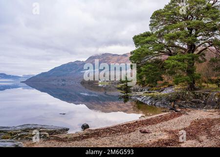 Réflexions hivernales depuis la plage de Rowardennan sur la rive est du Loch Lomond en Écosse, au Royaume-Uni Banque D'Images