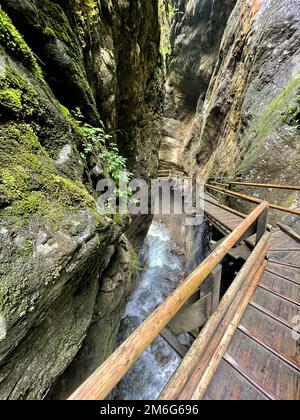 Escaliers escarpés le long de la cascade et des rochers en autriche Banque D'Images