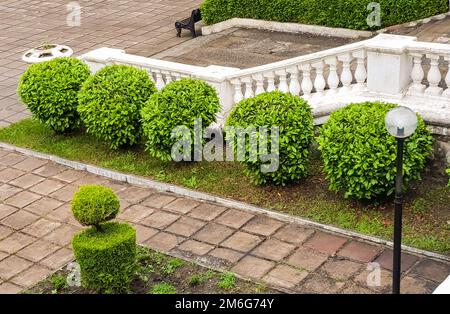 Un escalier en pierre avec une balustrade descend dans le jardin avec un territoire bien entretenu et une brousse soigneusement taillée Banque D'Images