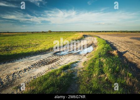 Flaques sur route de terre, champs et nuages sur le ciel Banque D'Images