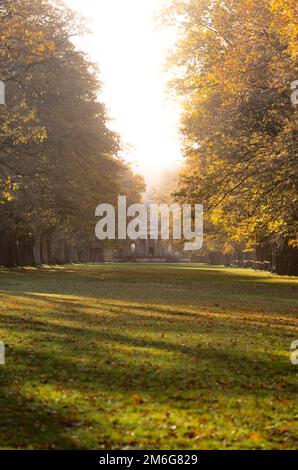 Avenue arborescente donnant sur la chapelle de Gibside, illuminée par la lumière du soleil d'automne créant de longues ombres. Tyne et Wear. ROYAUME-UNI. Banque D'Images