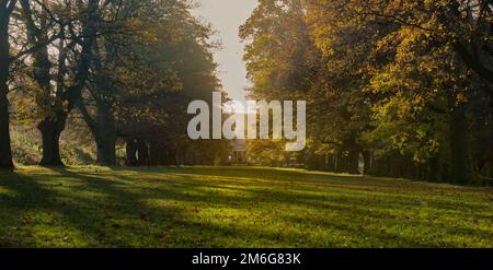 Avenue arborescente donnant sur la chapelle de Gibside, illuminée par la lumière du soleil d'automne créant de longues ombres. Tyne et Wear. ROYAUME-UNI. Banque D'Images