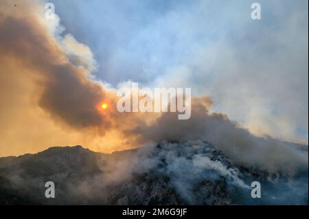 Feu de forêt au lac de Piva dans le parc national du Monténégro Banque D'Images