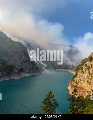 Feu de forêt au lac de Piva dans le parc national du Monténégro Banque D'Images