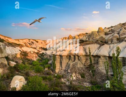 Oiseau sur la Cappadoce Banque D'Images