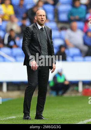 Manager de Reading, Jaap Stam - Reading v Brighton & Hove Albion, Sky Bet Championship, Madejski Stadium, Reading - 20th août 2016. Banque D'Images
