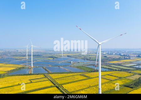 Ferme éolienne dans les champs d'automne Banque D'Images