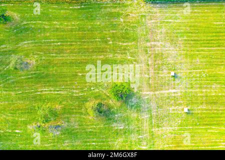 Bandes verticales de parcelles agricoles de différentes cultures. AER Banque D'Images