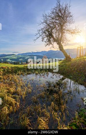 Paysage d'automne au lever du soleil dans les montagnes Allgaeu, près d'Oberstaufen, Bavière, Allemagne Banque D'Images