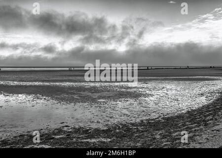 Vue sur la mer des Wadden en automne, les randonneurs à l'horizon, photo en noir et blanc, Utersum, Parc national de la mer des Wadden du Schleswig-Holstein, Foehr Banque D'Images