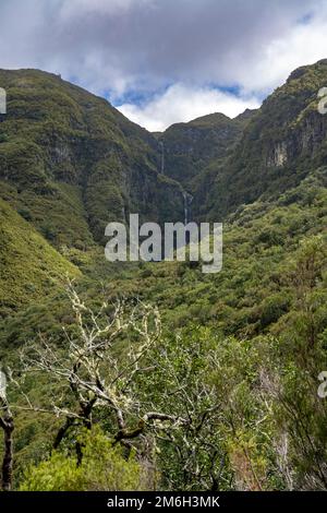 Montagnes boisées avec chute d'eau, cascade de Risco, vue depuis le sentier de randonnée de Levada das 25 Fontes, Rabacal, Madère, Portugal Banque D'Images